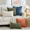 Set of 2 Burnt Orange Fall Decorative Throw Pillow Covers 20x20 Inch